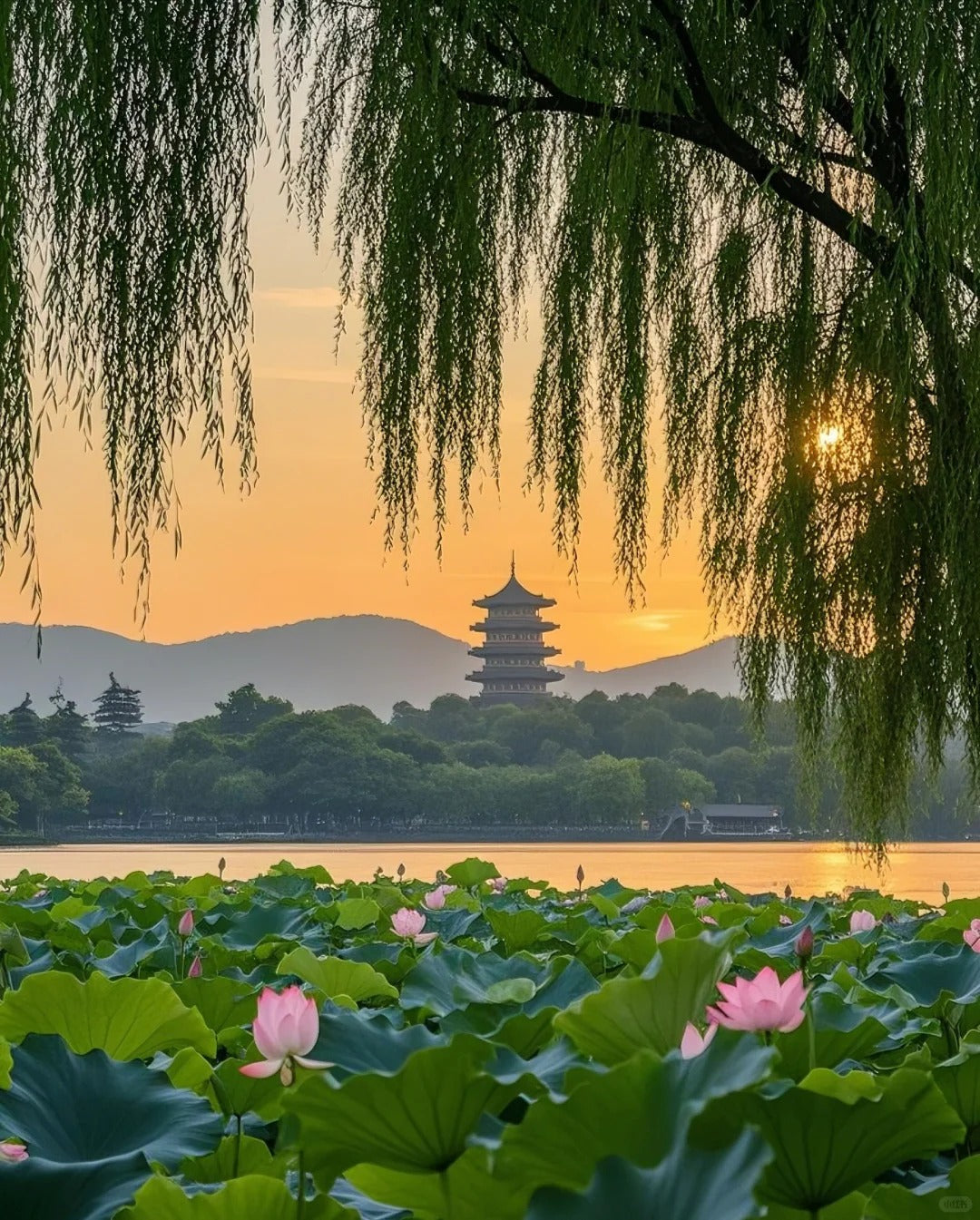 6D5N Shanghai Trendy Tour