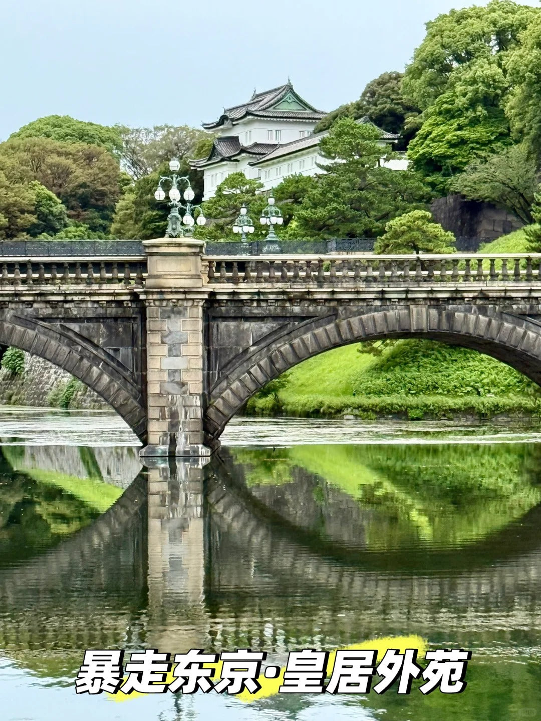 5D4N Tokyo / Mt Fuji