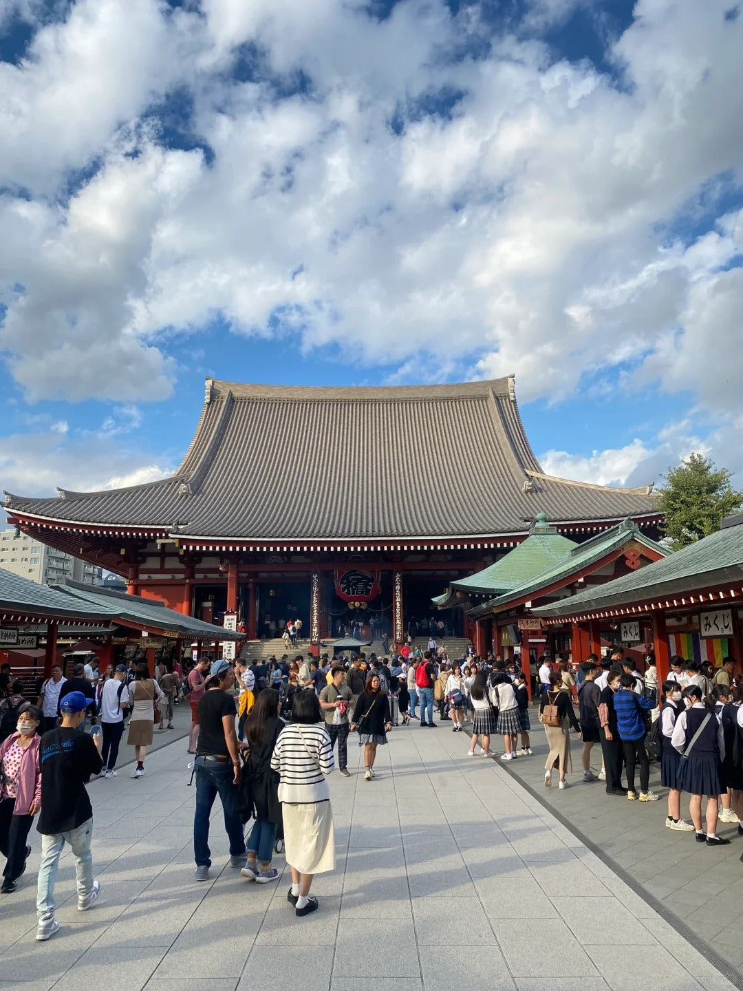 5D4N Tokyo / Mt Fuji