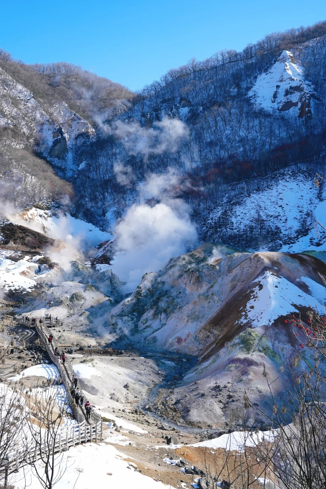 5D4N Hokkaido Winter Ski