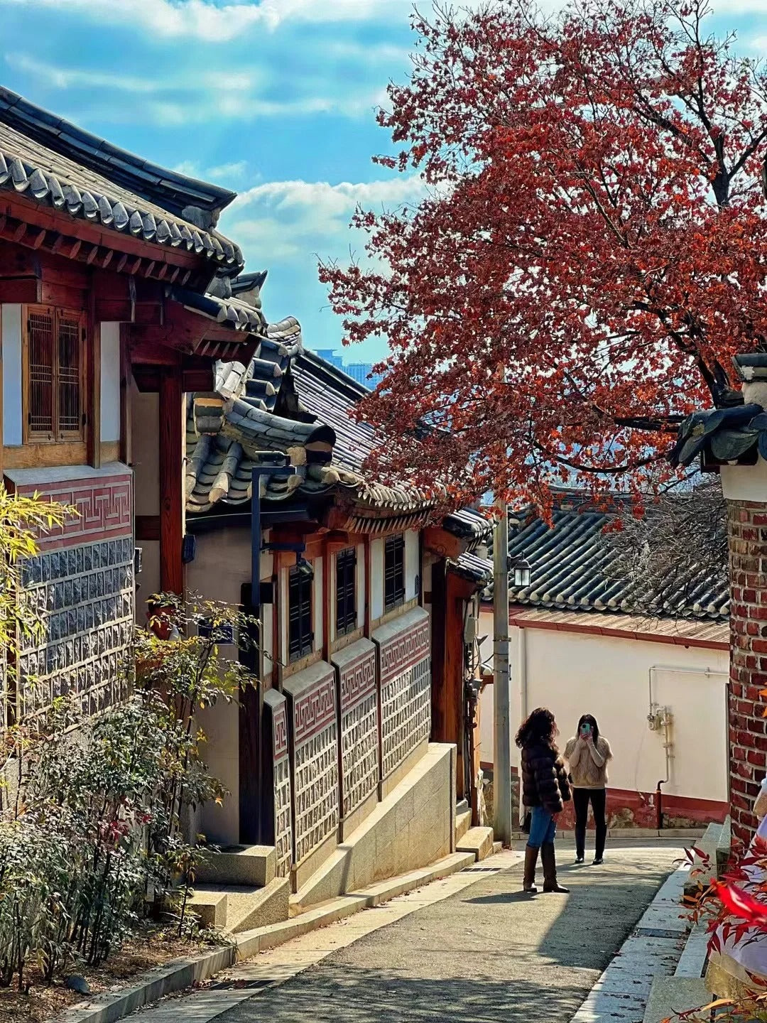 5D4N Seoul