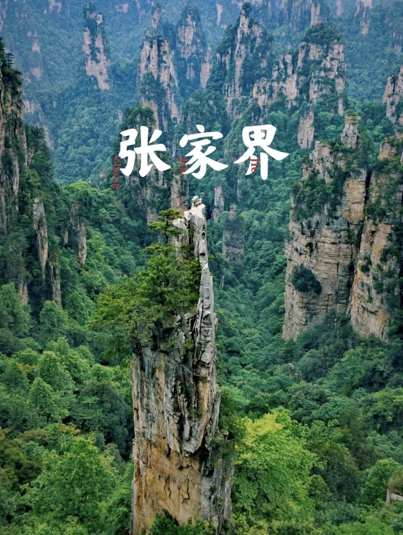 9天7夜 魅力张家界 / 凤凰古城 / 芙蓉镇