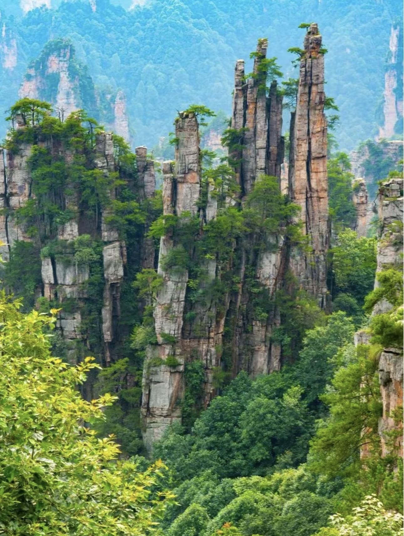 9天7晚 武汉 / 荆州 / 岳阳 / 张家界 / 凤凰古城探险