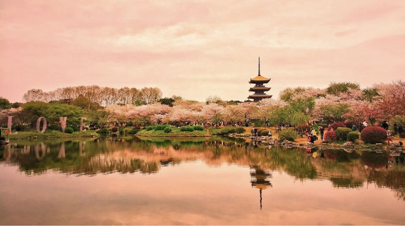 wuhan zhangjiajie 武汉 张家界