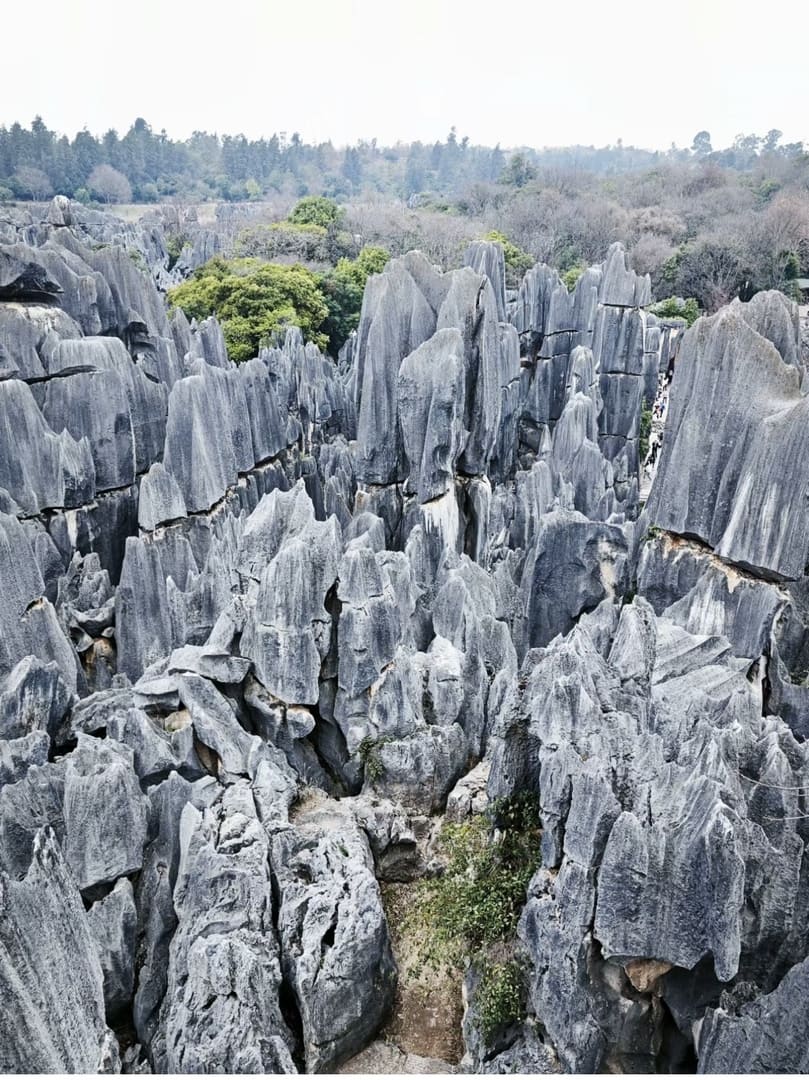11天10夜西南地区:广州、昆明、大理、丽江、香格里拉