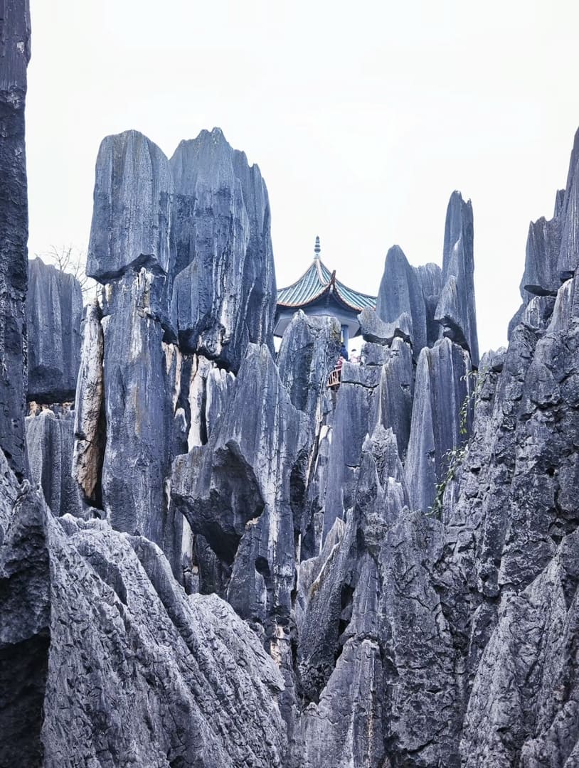 11天10夜西南地区:广州、昆明、大理、丽江、香格里拉
