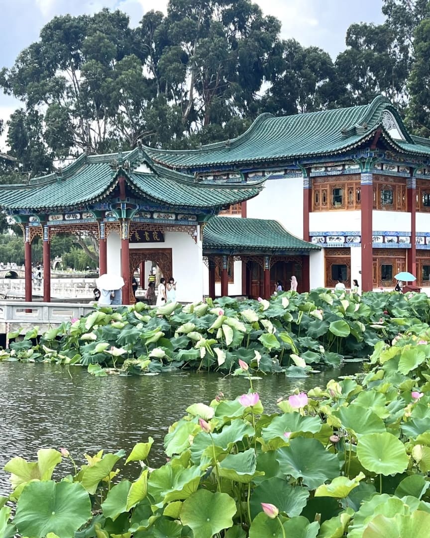 11天10夜西南地区:广州、昆明、大理、丽江、香格里拉