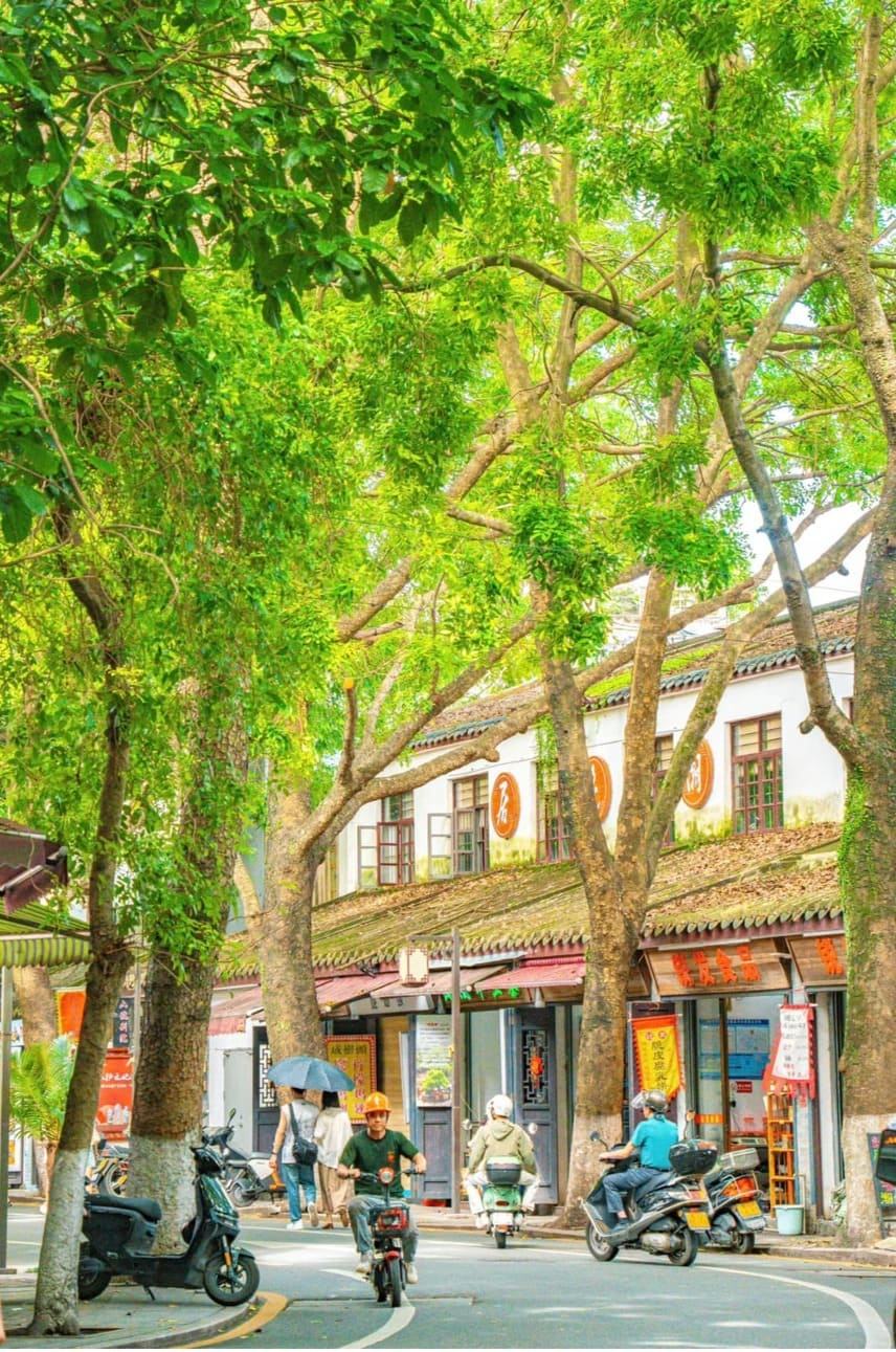 8D 7N Fuzhou, Quanzhou, Xiamen, Tulou, Chaozhou & More