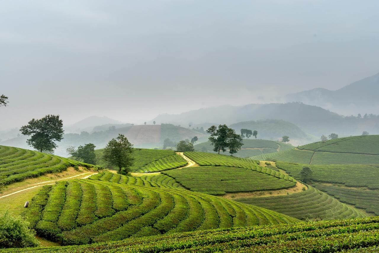 6D 5N Hanoi – Halong – Sapa – Fansipan Peak Tour