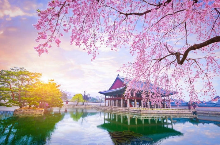 5D 4N SEOUL - NAMI ISLAND - LOTTE WORLD (OCT-NOV 2024) NO AIRFARE MIN 4 TO GO