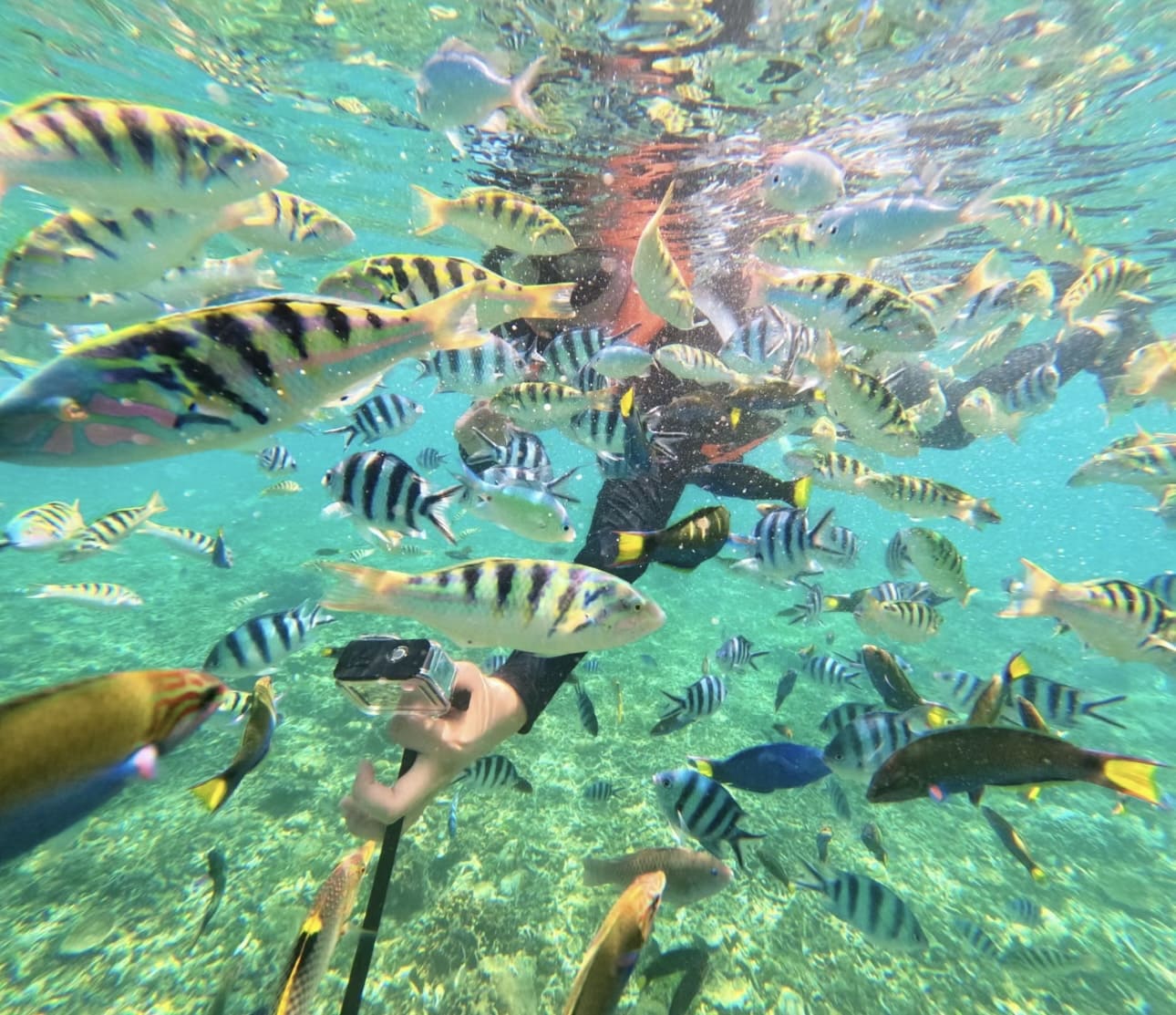 Tropical Escape: Mengalum Island Day Adventure